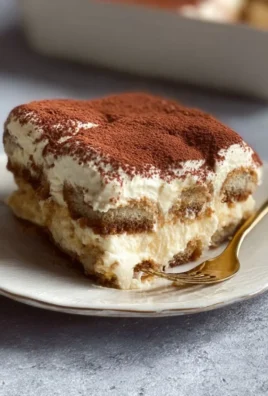 Slice of authentic Italian Tiramisu topped with cocoa powder