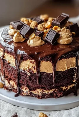 Decadent chocolate peanut butter ooey gooey cake with rich frosting and toppings