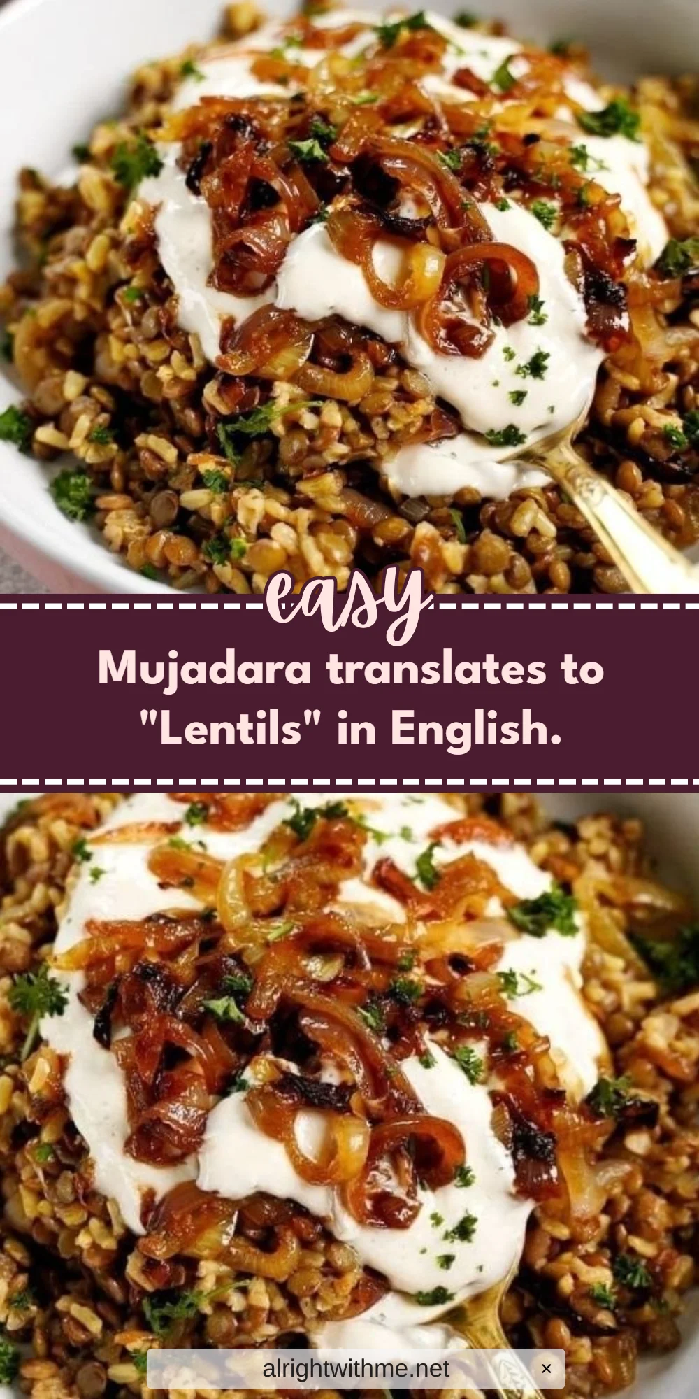 Mujadara translates to "Lentils" in English.
