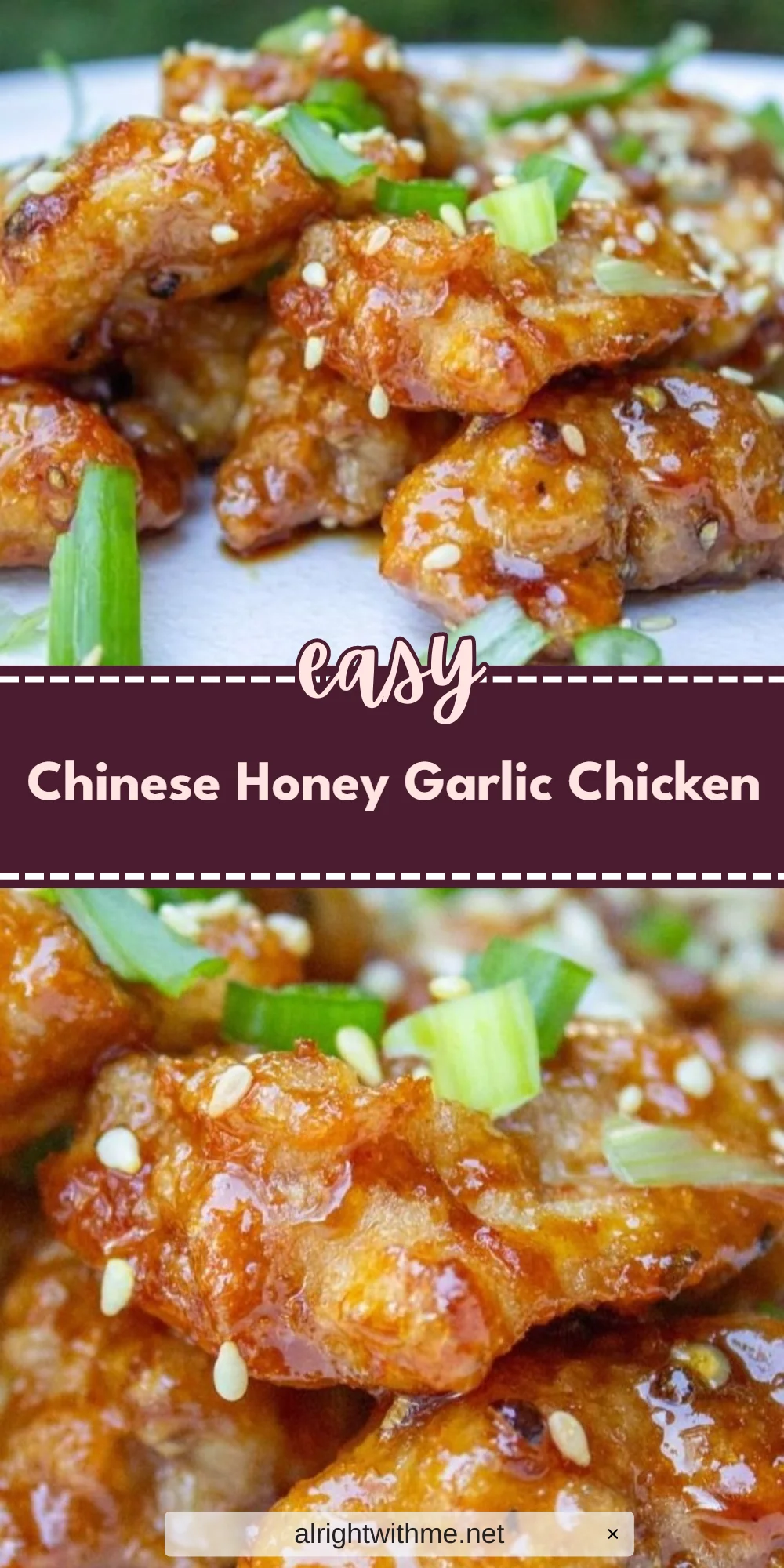 Chinese Honey Garlic Chicken